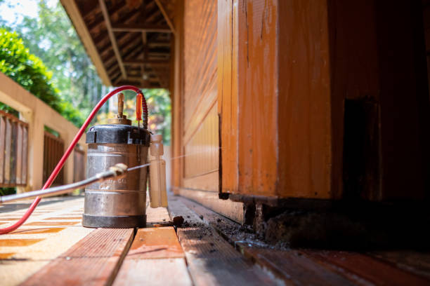 Best Ant Control Services  in West Plains, MO