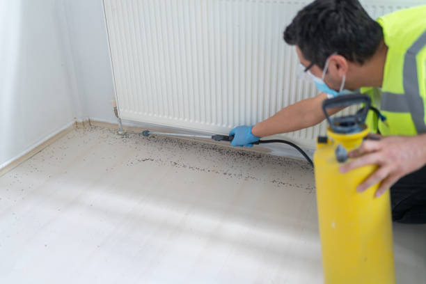 Best Wasp Removal Services  in West Plains, MO